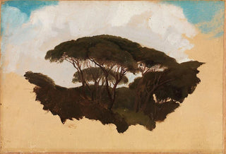 Adolph Tidemand - Study of Stone Pines.webp