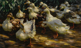 Alexander Koester - Ducks in Sunlight (Case Conflict).webp
