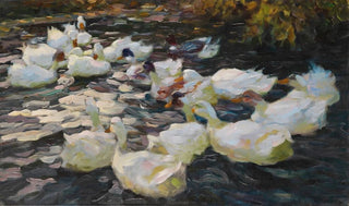 Alexander Koester - Ducks in the evening sun.webp