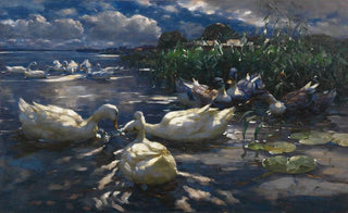 Alexander Koester - Enten Reichenau.webp