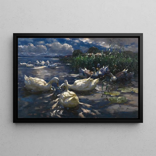 Alexander Koester - Enten Reichenau.webp