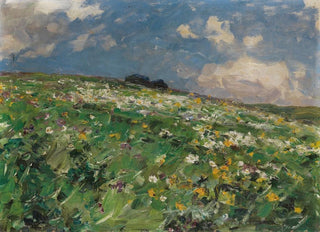 Alexander Koester - Sommerwiese.webp