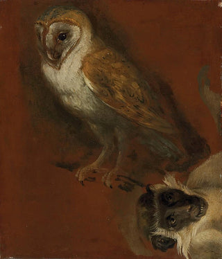 Alexandre Franois Desportes - Study of an owl with a fragmentary study of a monkey.webp
