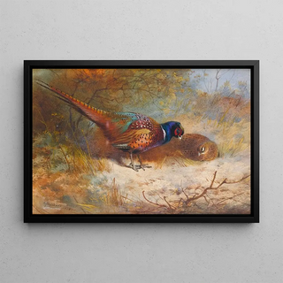 Archibald Thorburn - Pheasants.webp