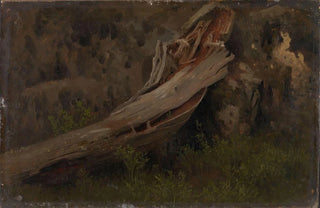August Cappelen - Study of a decaying Trunk.webp