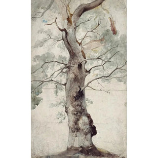 Caspar Scheuren - Study of a Tree.webp