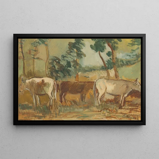 Cyprin Majernk - Kravy.webp