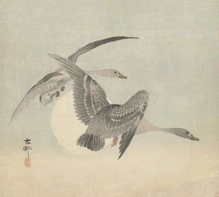 Deux oies en vol - Ohara Koson