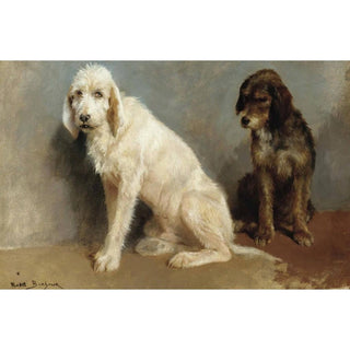 Étude de deux chiens - Rosa Bonheur | Reproduction Tableau Décoration murale affiche copie
