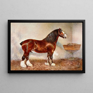 Frank Babbage - Clydesdale Stallion Prince of Albion.webp