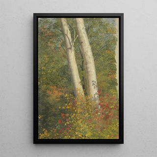 Frederic Edwin Church - Birch Trees in Autumn.webp