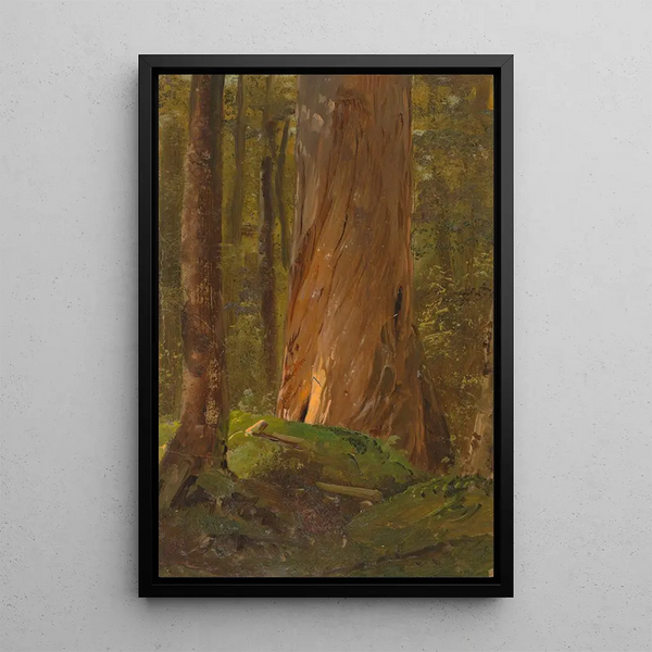 Studie im Wald von Maine - Frederic Edwin Church — gerahmtes Bild an der Wand