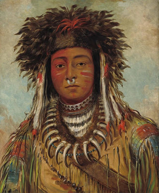 George Catlin - Boy Chief Ojibbeway.webp