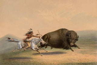 George Catlin - Buffalo Hunt ChaseNo 5.webp