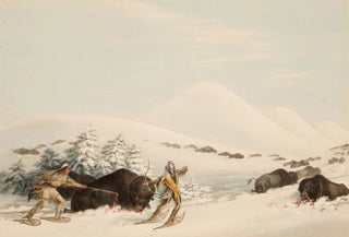 George Catlin - Buffalo Hunt On Snow Shoes.webp