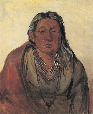 George Catlin - Wahpeshsee Mother of the Chief.webp