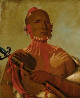 George Catlin - WeSheet Sturgeons Head a Fox Warrior.webp