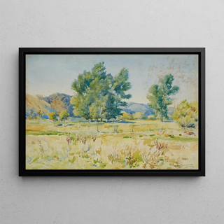 James Nairn - Summer.webp