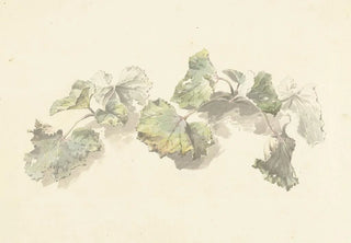 Josephus Augustus Knip - Studie van bladeren.webp