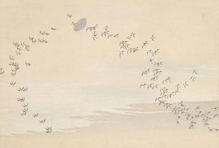 Kamisaka Sekka - A Thousand Grasses Pl09.webp