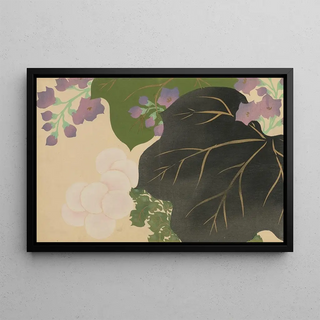 Kamisaka Sekka - Chrysanthemum and Paulownia Kikukiri.webp