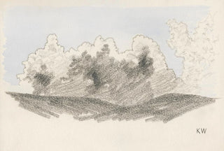 Karl Wiener - Naturstudie XXIII.webp