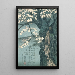 Kobayashi Kiyochika - Warrior Taira no Tadanori about to Sleep under a Cherry Tree.webp