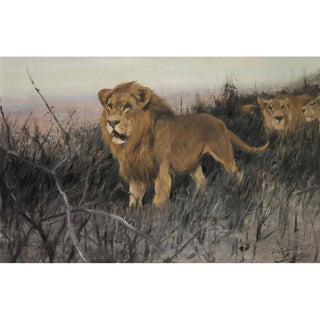 Lions dans la steppe brûlée - Wilhelm Kuhnert | Reproduction Tableau Décoration murale affiche copie