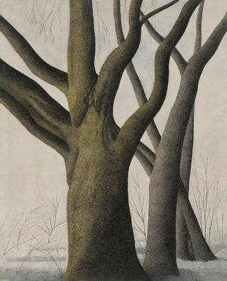 Lon Spilliaert - Big Tree.webp