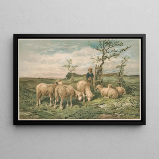 Louis Prang Co - Study of sheep after F Brissot.webp