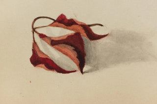 Mary Vaux Walcott - Curled Autumn Leaves.webp