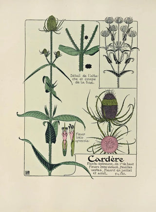 Maurice Pillard Verneuil - Cardere.webp