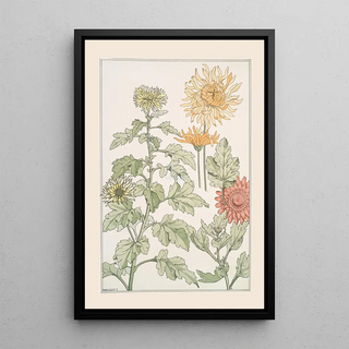 Maurice Pillard Verneuil - Chrysanthme.webp