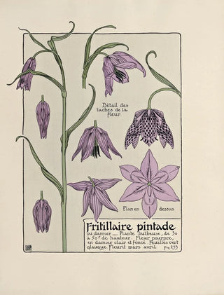 Maurice Pillard Verneuil - Fritillaire pintade.webp