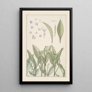 Maurice Pillard Verneuil - Muguet.webp