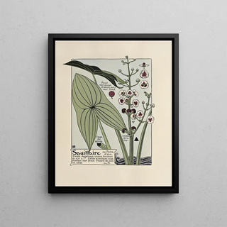 Maurice Pillard Verneuil - Sagittaire.webp