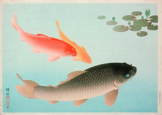 Ohara Koson - Common And Golden Carp.webp