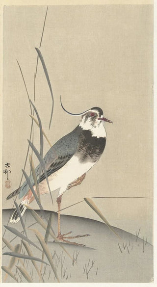 Ohara Koson - Lapwing and reed.webp