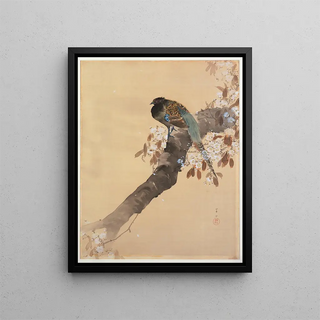 Ohara Koson - Pheasant on cherry blossom branch.webp