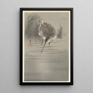 Ohara Koson - Snip in water.webp