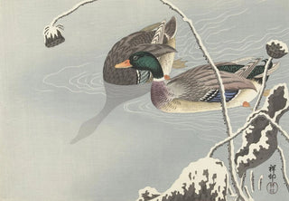 Ohara Koson - Two Mallards near a SnowCovered Lotus.webp