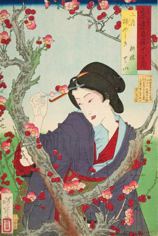 Tsukioka Yoshitoshi - Second Month Tei of Shinbashi by a Plum Tree at Umeyashiki.webp