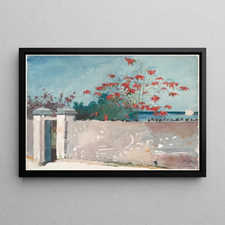 Winslow Homer - A Wall Nassau.webp