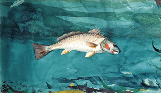 Winslow Homer - Channel Bass.webp