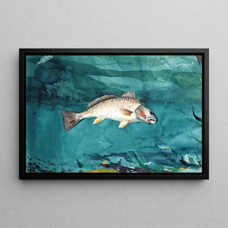 Winslow Homer - Channel Bass.webp