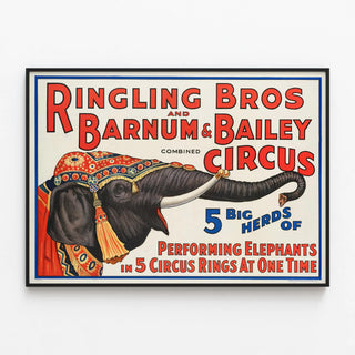 5-big-herds-of-performing-elephants-in-5-circus-rings-at-one-time