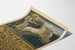 Poster Esposizione Internazionale d'Arte Monaco 1905 Secessione