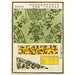 Riproduzione del dipinto di stampe cinesi pl26 - A F Stoddard Company