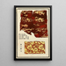 Chinesische Drucke pl86 - A F Stoddard Company — gerahmtes Bild an der Wand