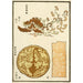 Reproduktion des Gemäldes Chinesische Drucke pl90 - A F Stoddard Company
